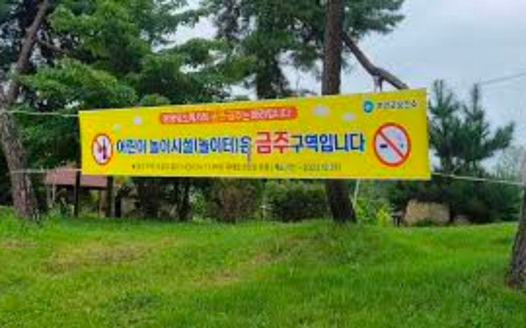 2024년 여행 중 과태로(서울신문)