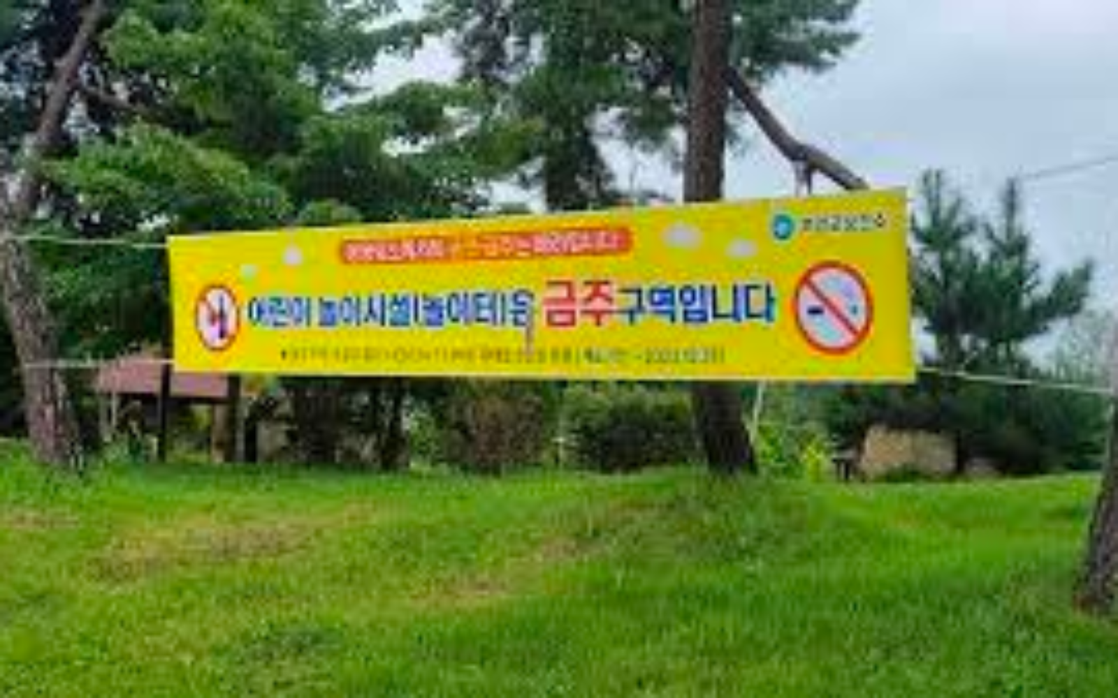 2024년 여행 중 과태로(서울신문)