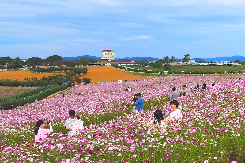 경기도 여행 투어패스ㅣ출처(경기도의회)