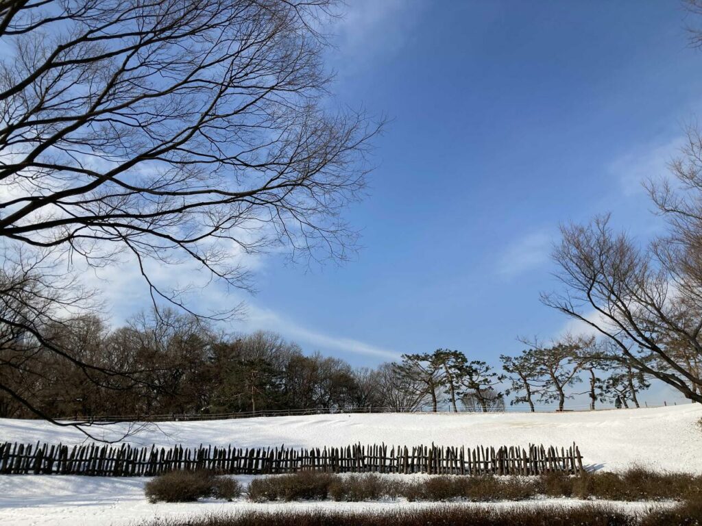서울 올림픽공원ㅣ출처(효라이프)