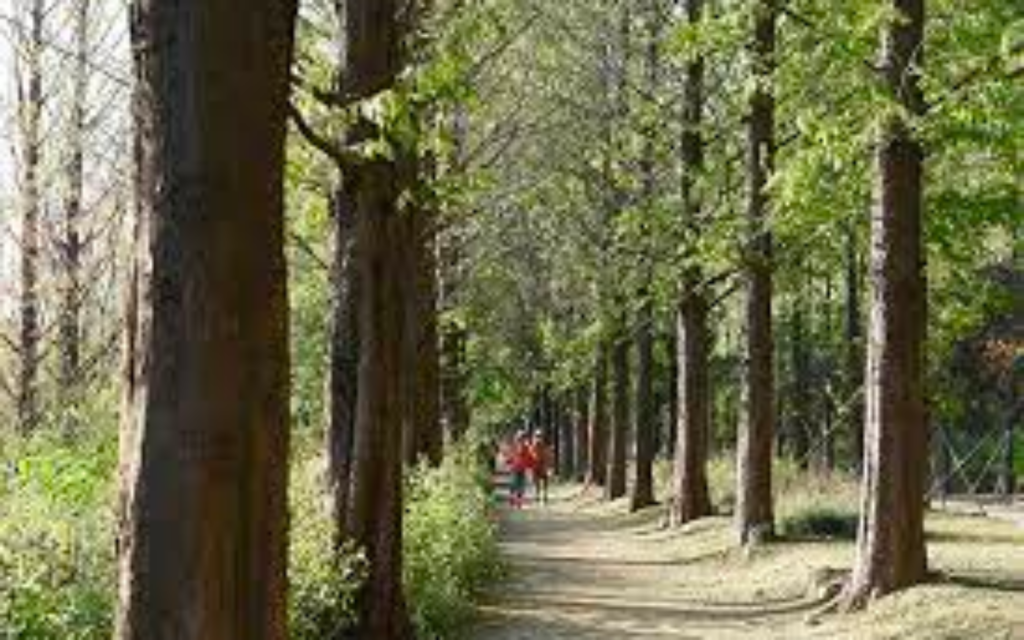 서울둘레길ㅣ출처(서울&)