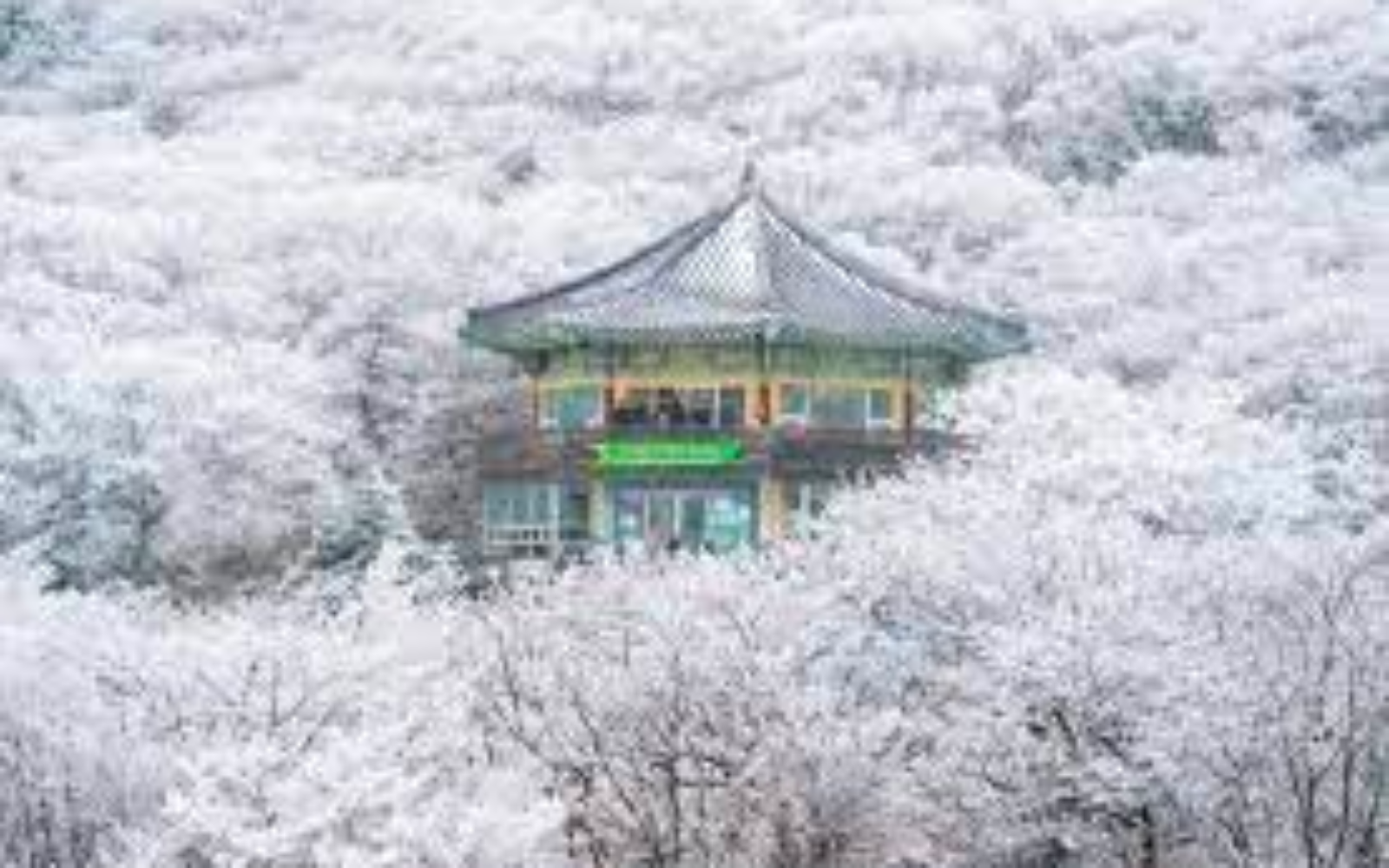 수도권 설경 명소ㅣ출처(트립닷컴)