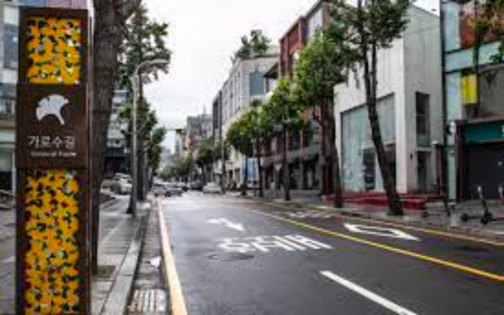 신사동 가로수길ㅣ출처(서울신문)