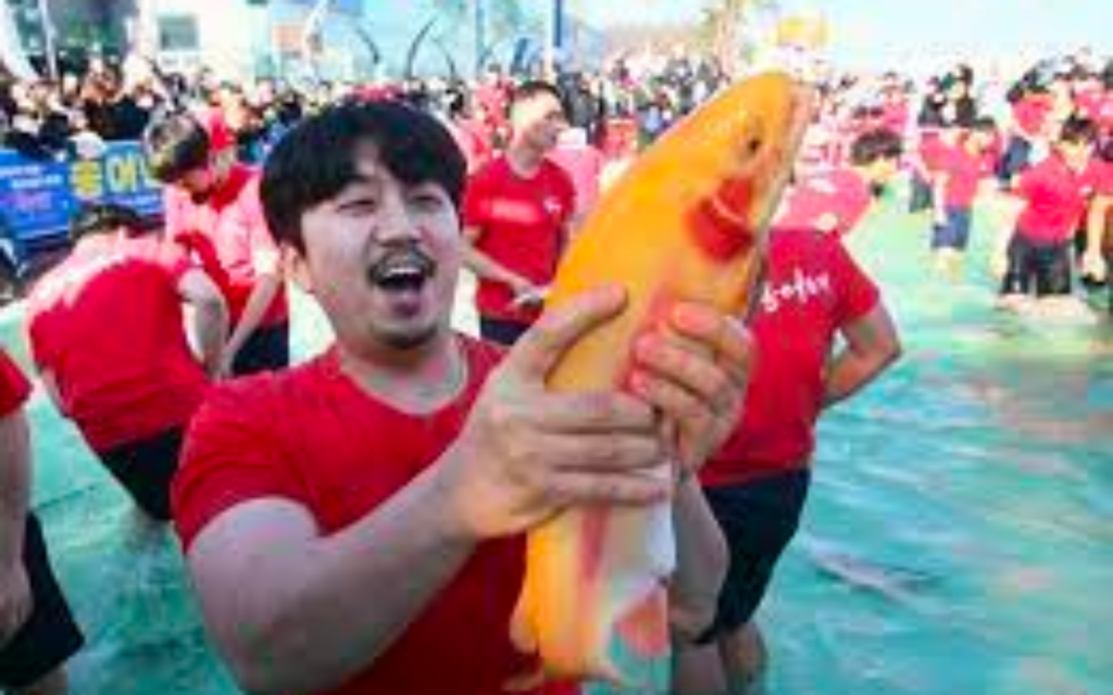 평창 송어축제ㅣ출처(경상일보)