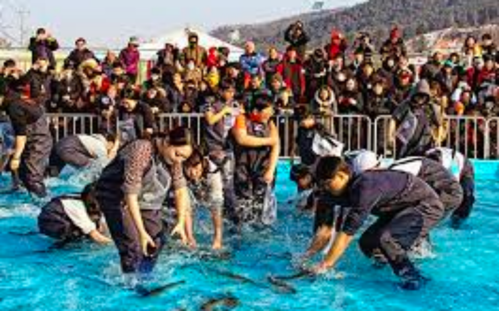 화천 산천어축제ㅣ출처(홍천신문)