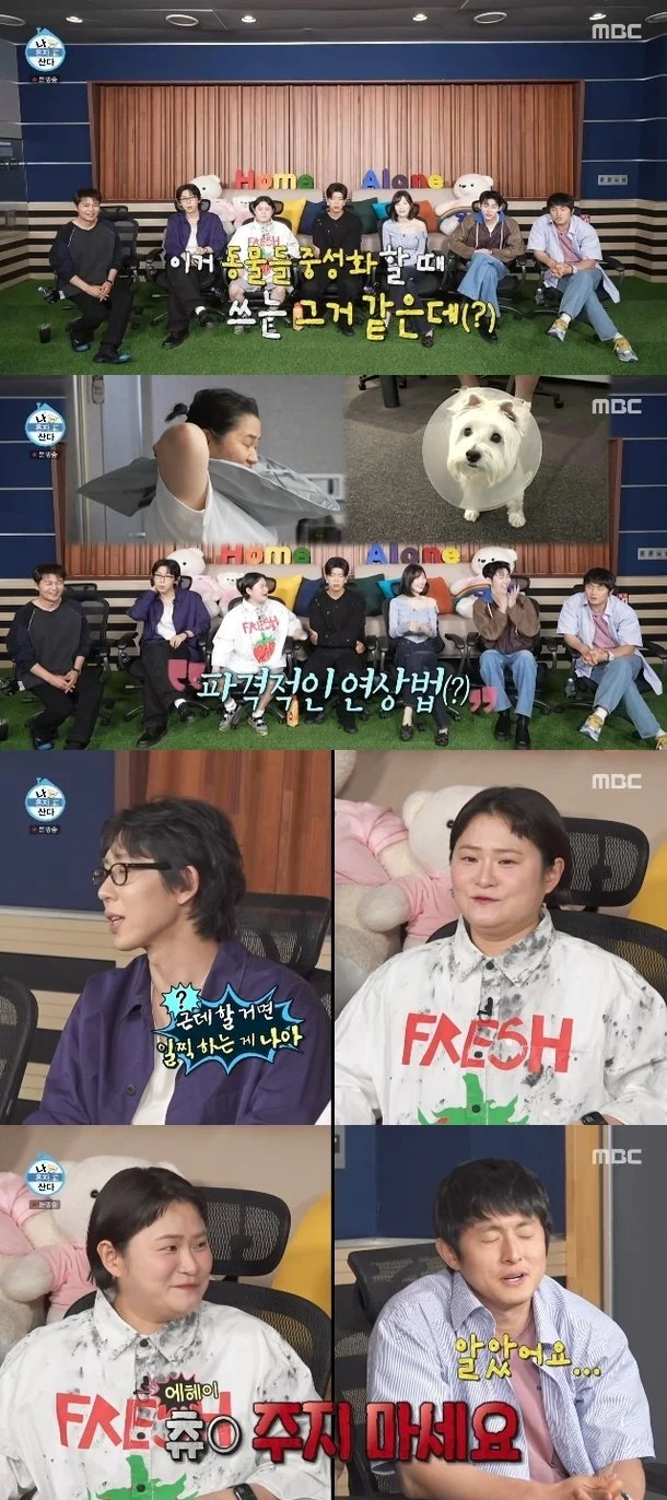 출처: 네이트 기사 이미지