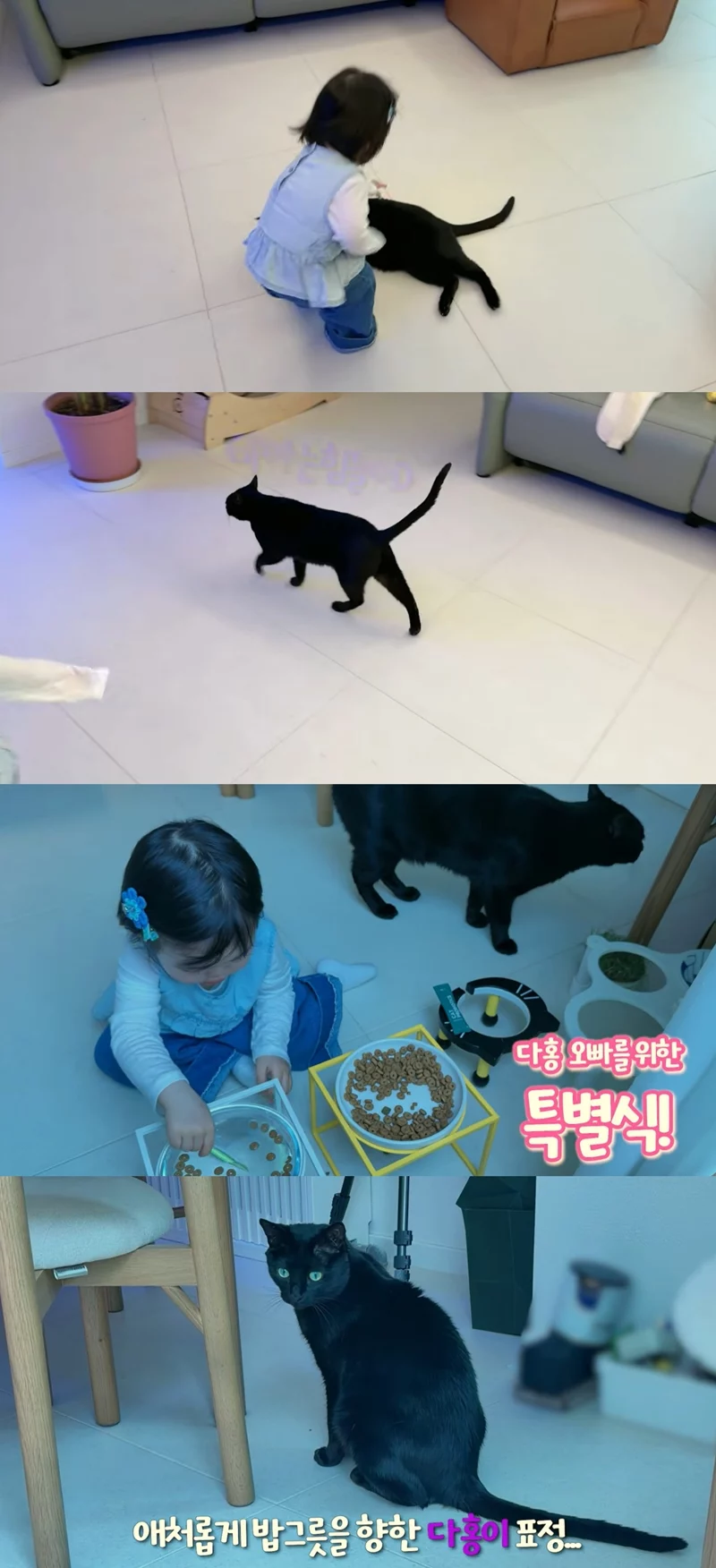 출처: 네이트 기사 이미지