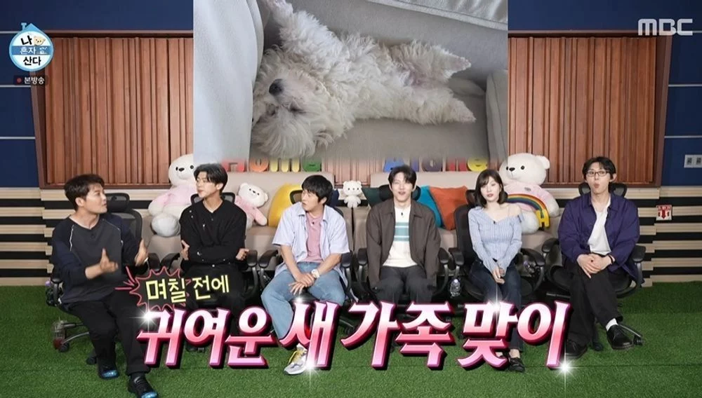 출처: 네이트 기사 이미지