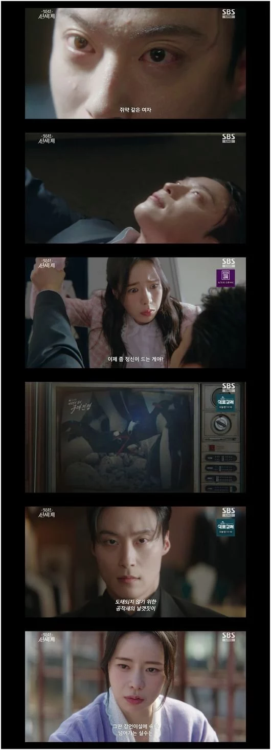 출처: 네이트 기사 이미지