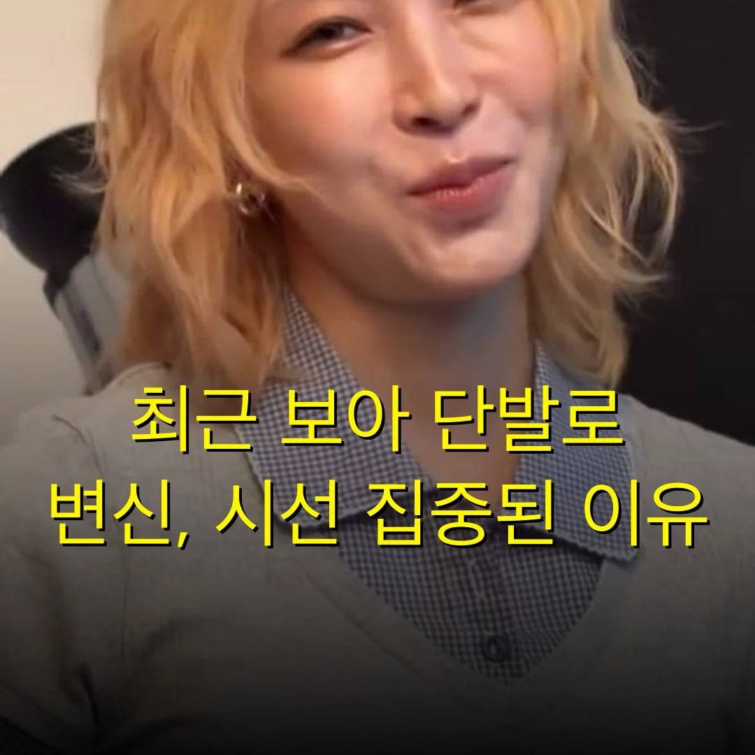 출처: 네이트 기사 이미지