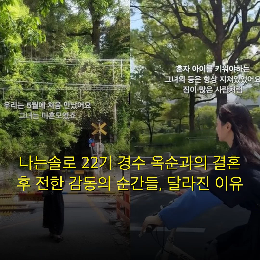 출처: 네이트 기사 이미지