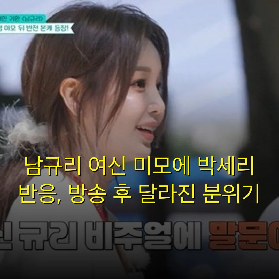 출처: 네이트 기사 이미지