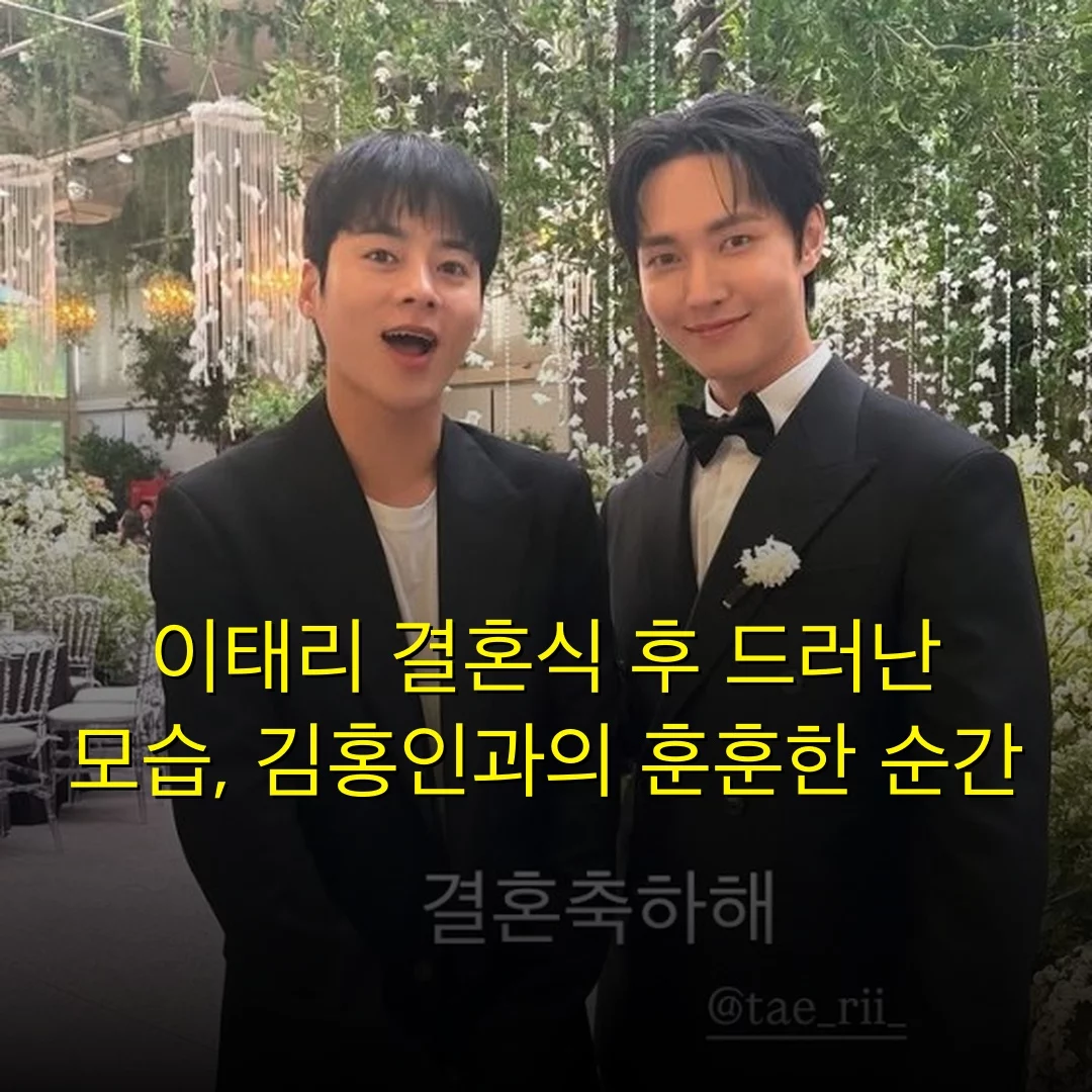 출처: 네이트 기사 이미지