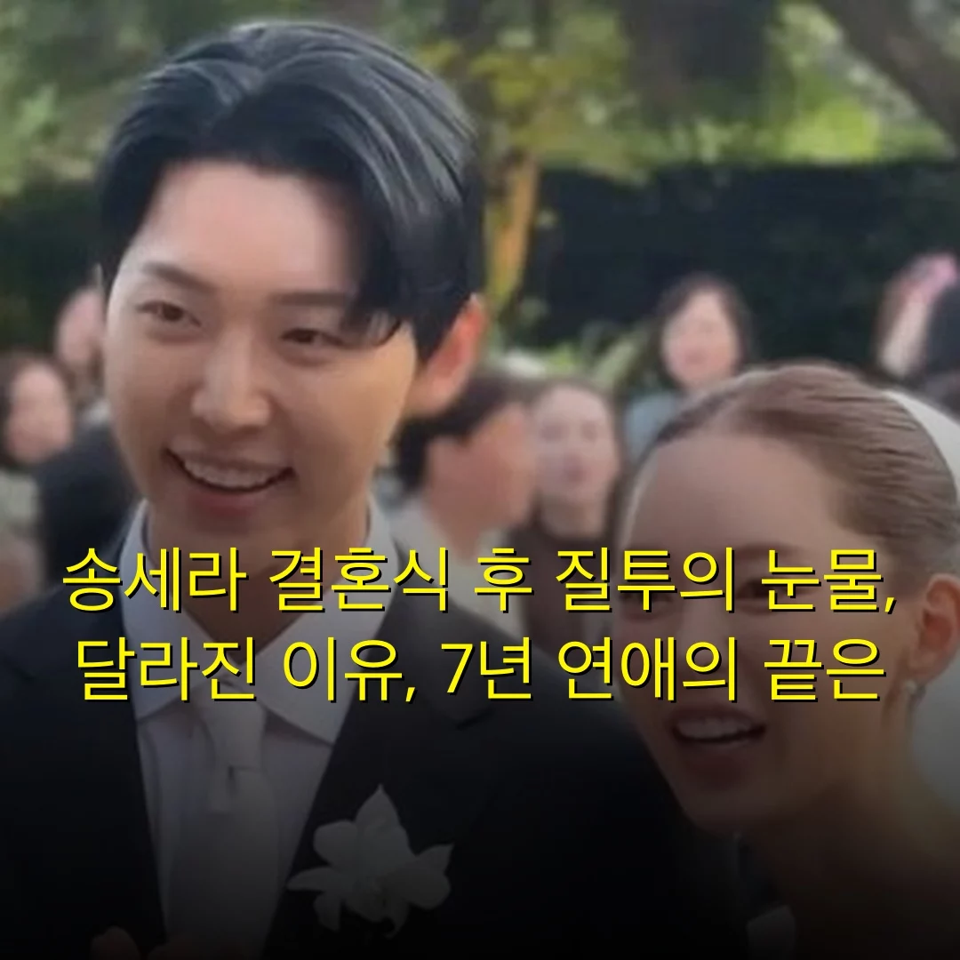 출처: 네이트 기사 이미지