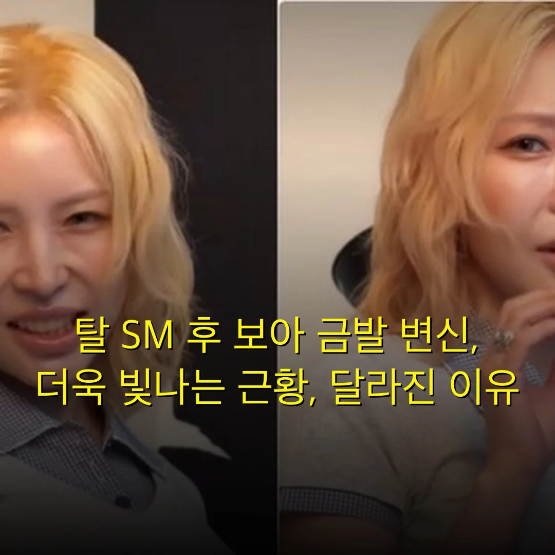 출처: 네이트 기사 이미지