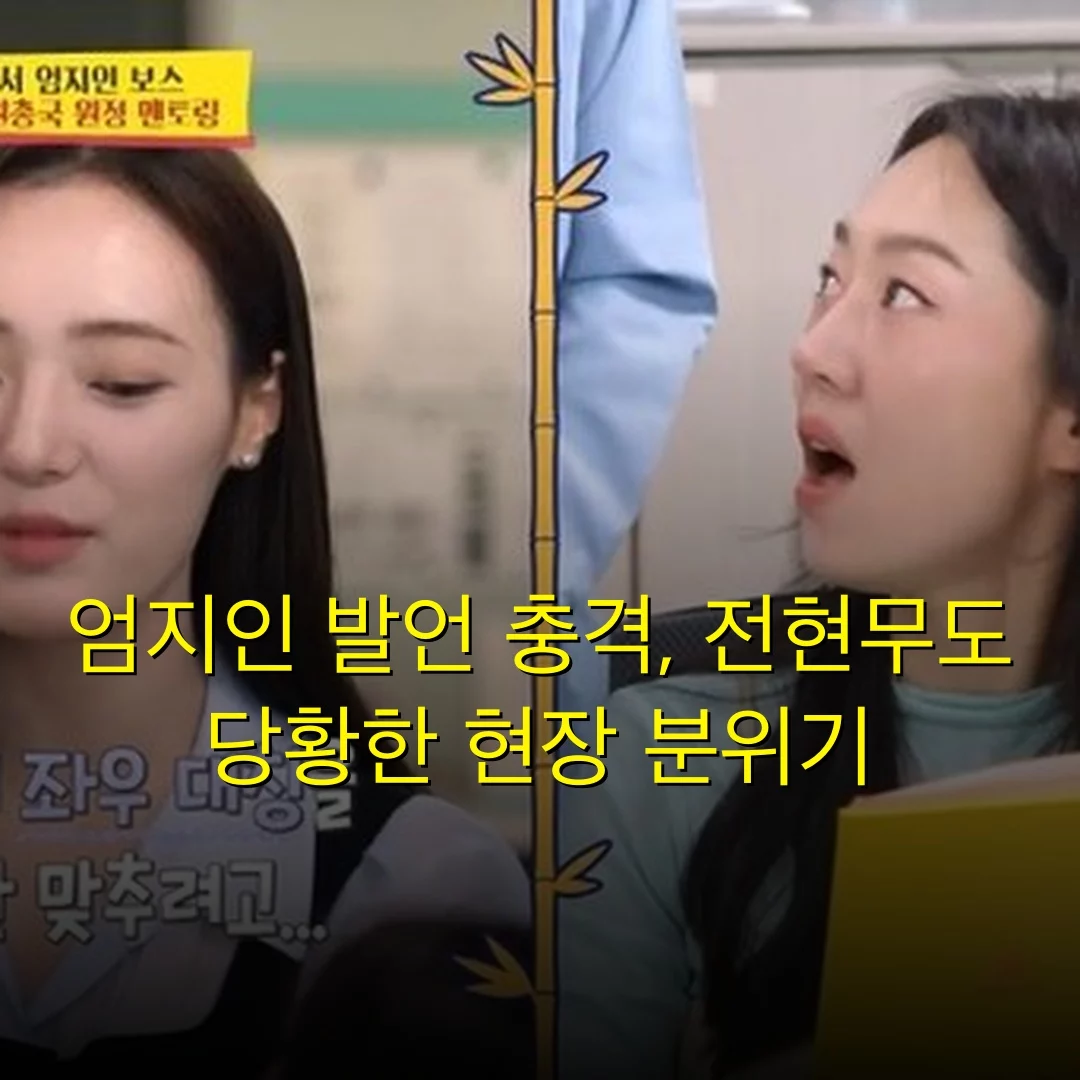 출처: 네이트 기사 이미지