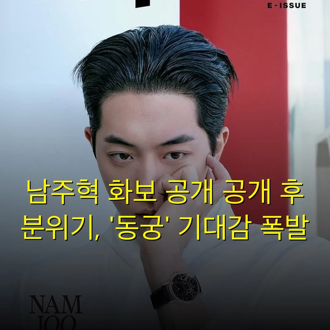 출처: 네이트 기사 이미지