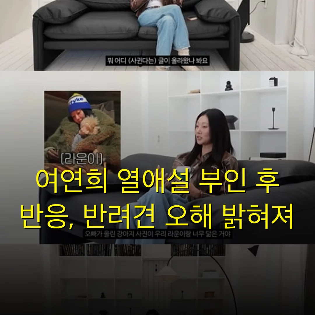 출처: 네이트 기사 이미지