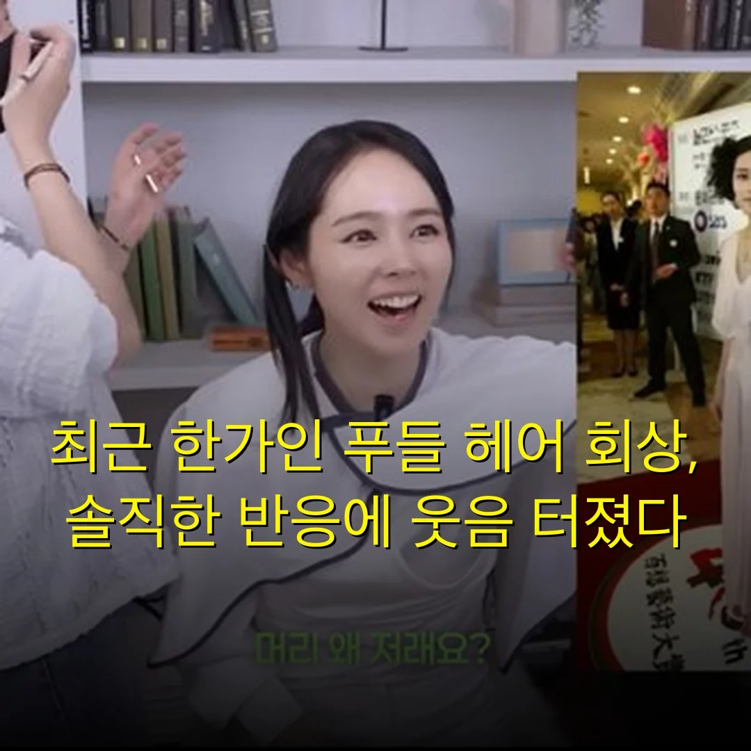 출처: 네이트 기사 이미지
