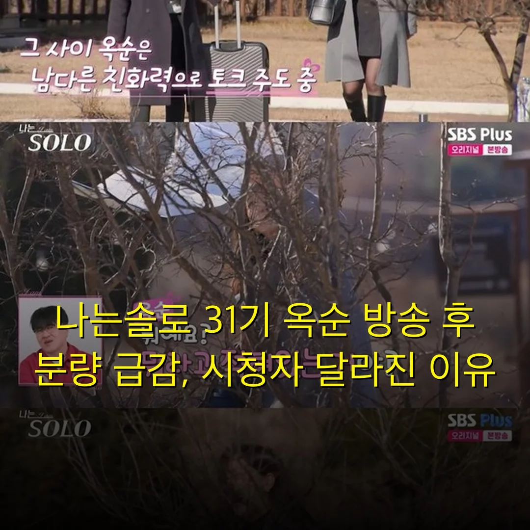 출처: 네이트 기사 이미지