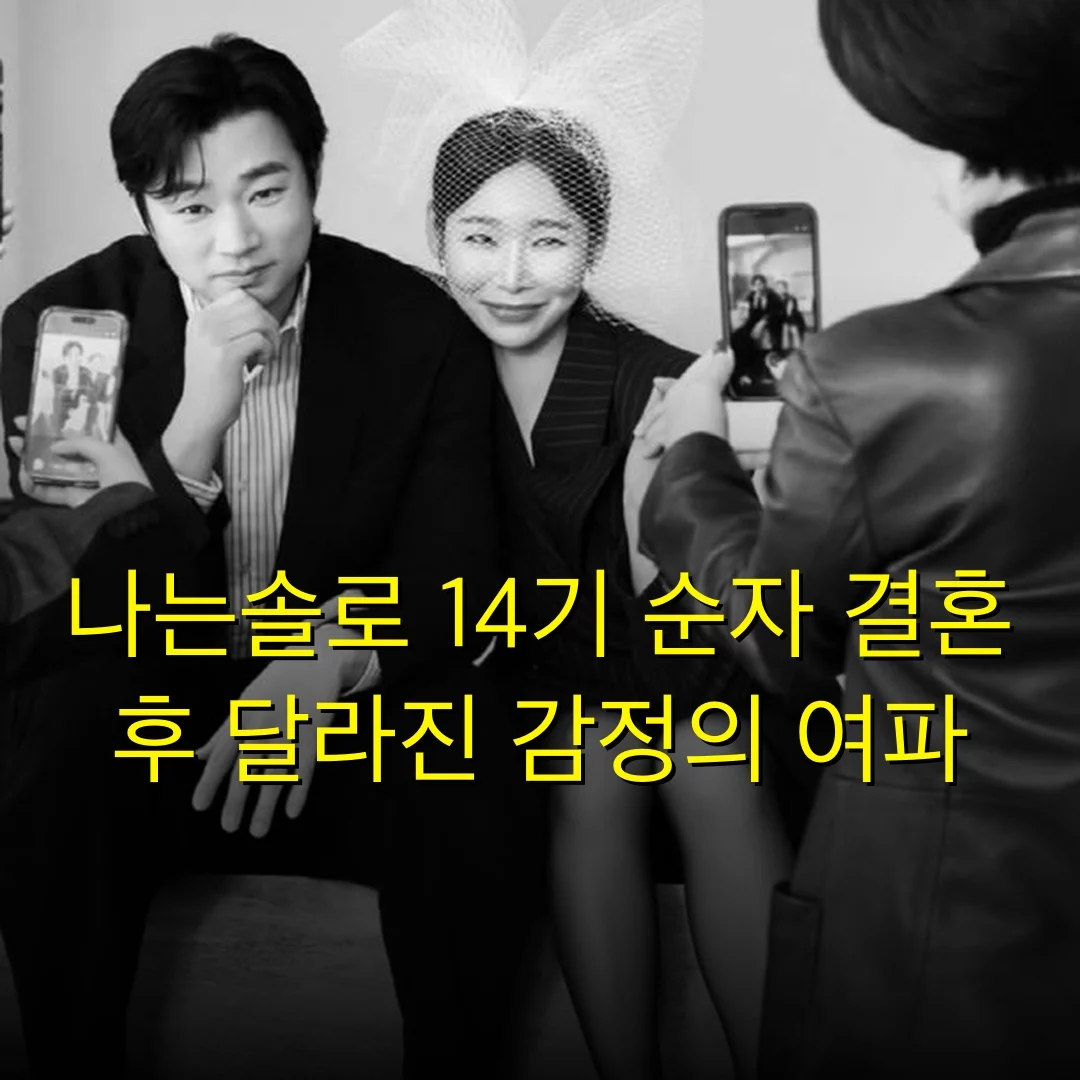출처: 네이트 기사 이미지