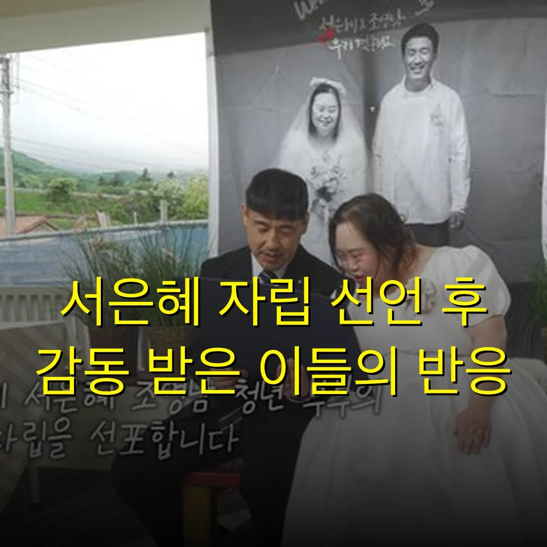 출처: 네이트 기사 이미지