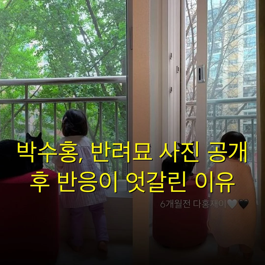 출처: 네이트 기사 이미지