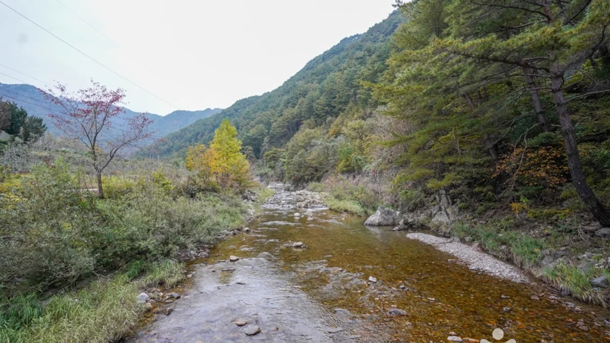경북 고선계곡(구마계곡) 카페, 여름철 힐링 명소