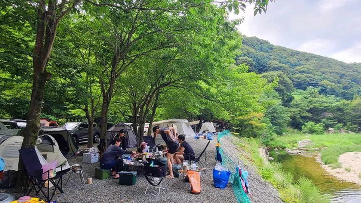 경북 별삼킨별캠핑장, 포항 자연 속 여름 캠핑 추천