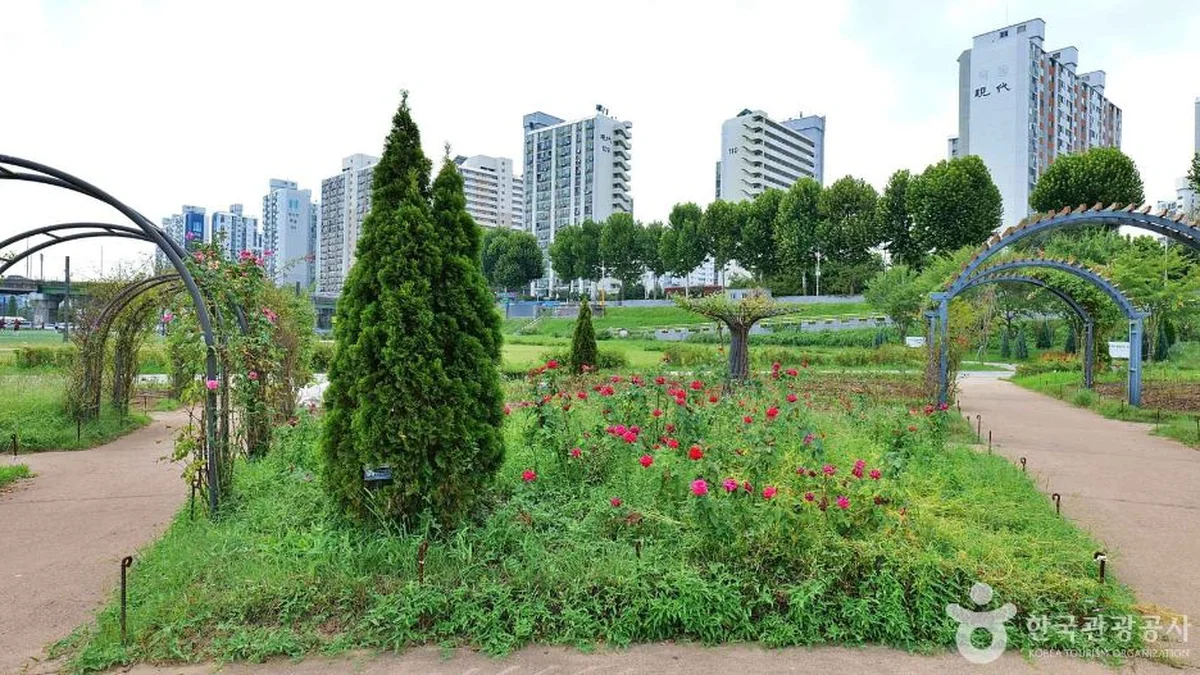 “5km 따라 펼쳐진 이런 사계절 장관, 진짜야?”… 서울 도심 숨은 명소
