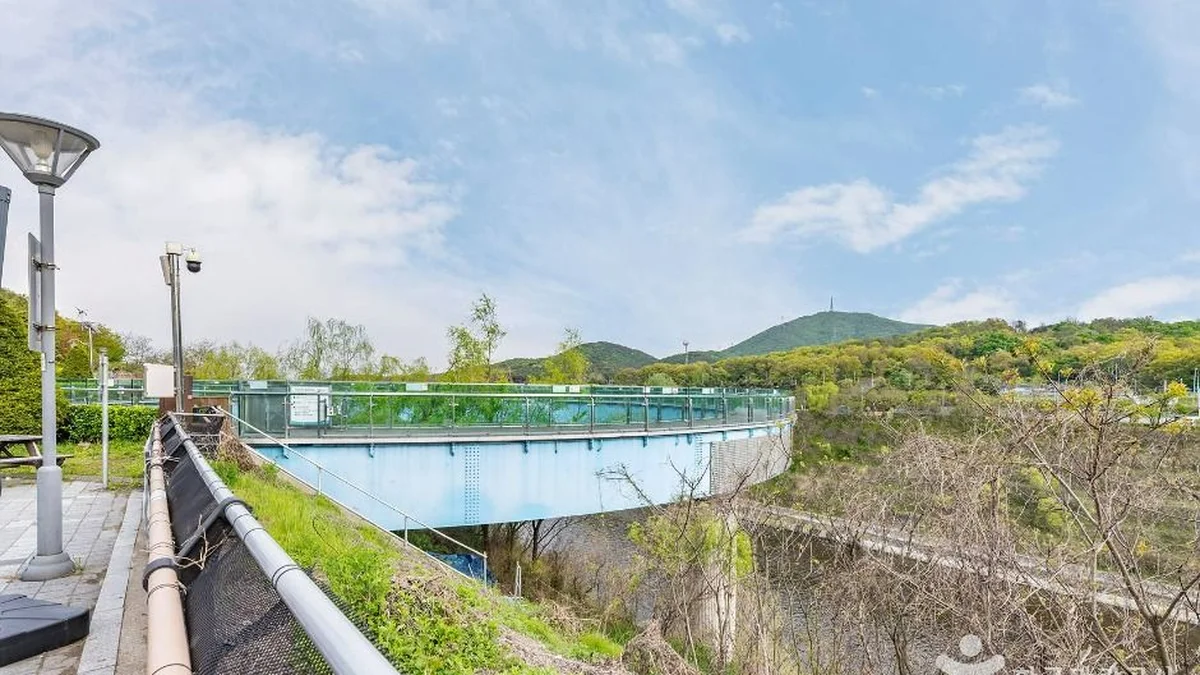 인천 아라마루 전망대 체험, 여름철 필수 여행 명소