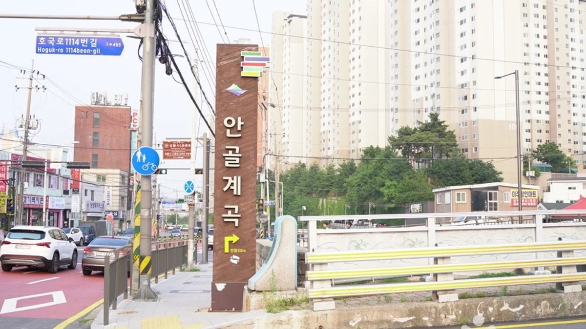 경기 안골계곡 체험, 여름철 자연 속 피서 명소로 추천