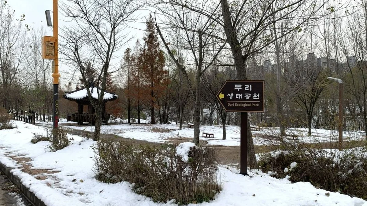 인천 두리생태공원 체험, 자연 속 특별한 여름 여행