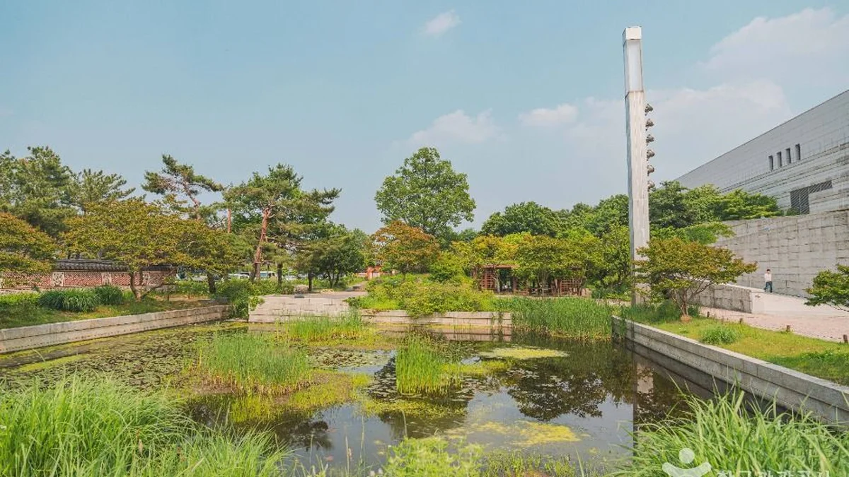 서울 국립중앙박물관 전통염료식물원 축제, 여름의 자연과 전통 체험