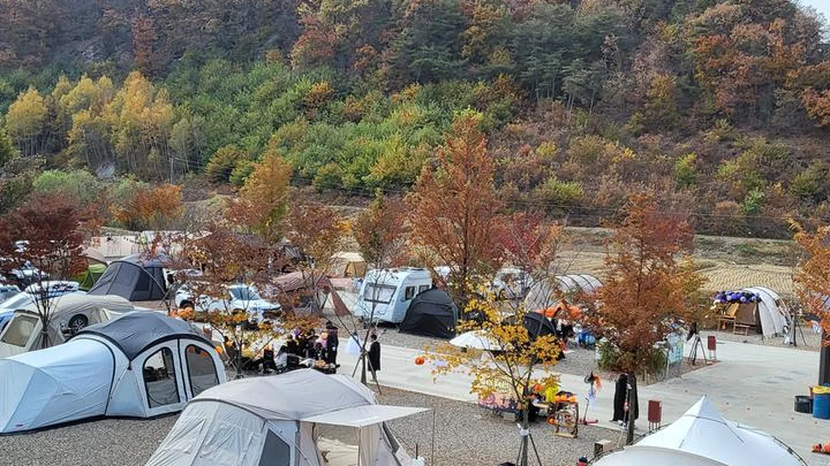 “경상북도에 이런 곳이?”… 4계절 내내 특별한 경험 제공 여행지
