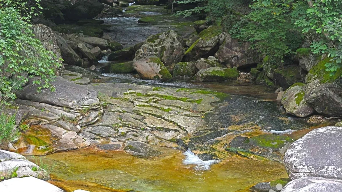 충북 송계계곡 축제, 여름 자연 속의 휴식 명소