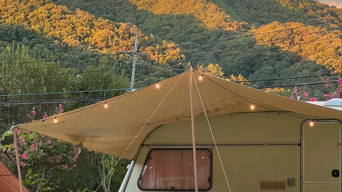 캠프히어