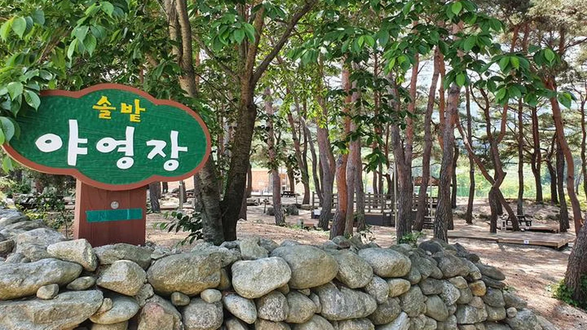 “도심 탈출! 정말 이런 곳이 있다니…”… 1일 피톤치드 만끽 무주 명소