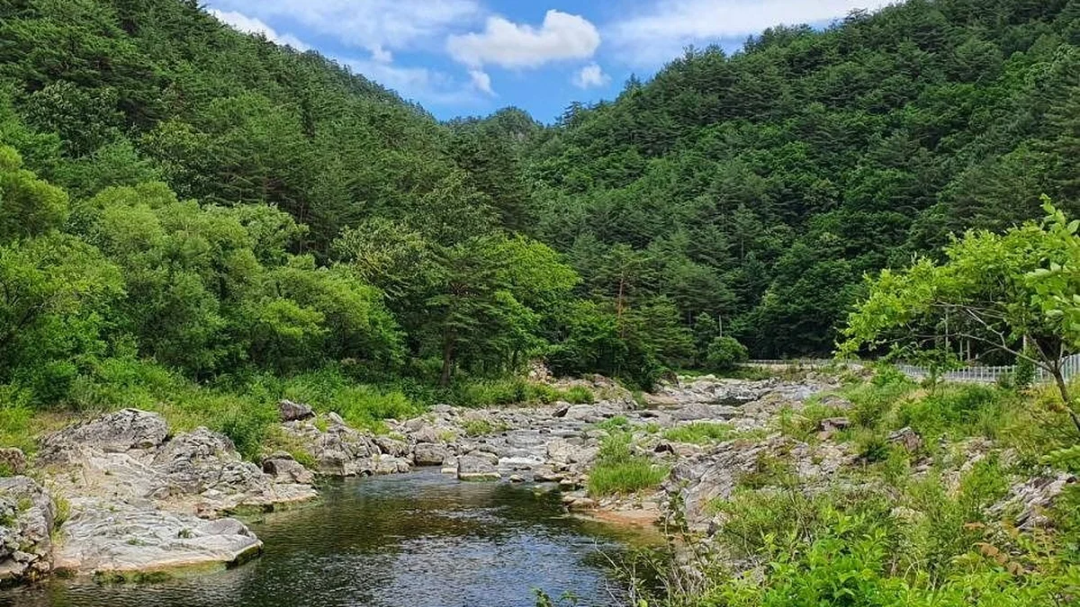 강원 삼척 덕풍계곡마을 카페, 자연 속 여름휴가 명소