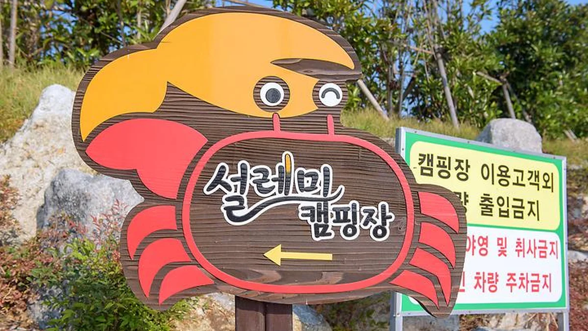 신안우전설레미캠핑장, 광주 인근 자연 속 캠핑 명소