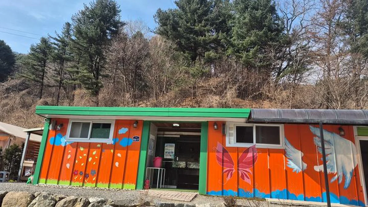 경기 양평 포레스트 캠핑장, 자연 속 힐링 캠핑 명소