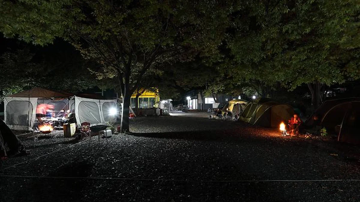 경북 청도 감이야기 캠핑장, 산과 계곡 속 자연 체험
