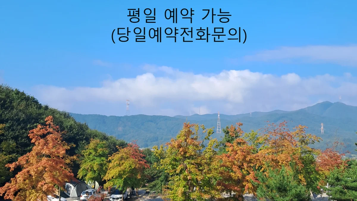 경기 단풍숲캠핑장, 자연 속 쾌적한 캠핑 체험