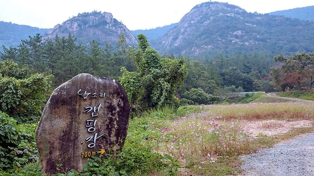 광주 주작산 별소리캠핑장, 자연 속 캠핑 체험