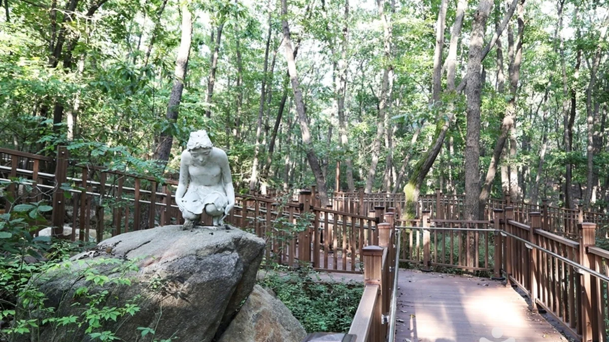 경기 삼성산산림욕장 체험, 여름철 힐링의 최적지