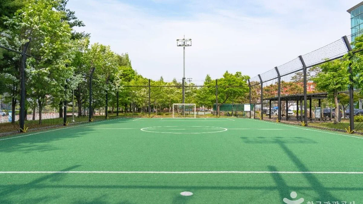 경기 서수원체육공원 체험, 가족과 함께하는 스포츠 명소