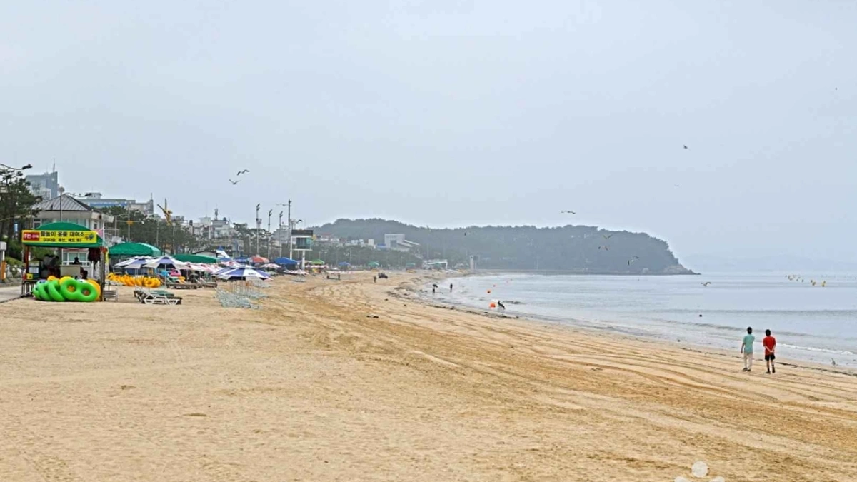 충남 보령 해수욕장 관광특구, 여름 체험 필수 여행지