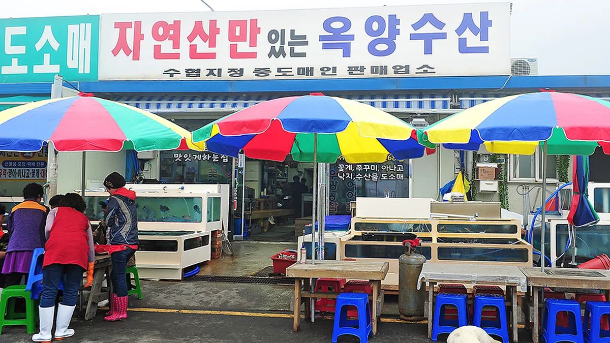충남 태안 옥양수산 맛집, 신선한 해산물의 명소