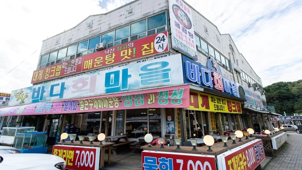 강원 낙산바다회마을 맛집, 신선한 해산물의 진수 체험