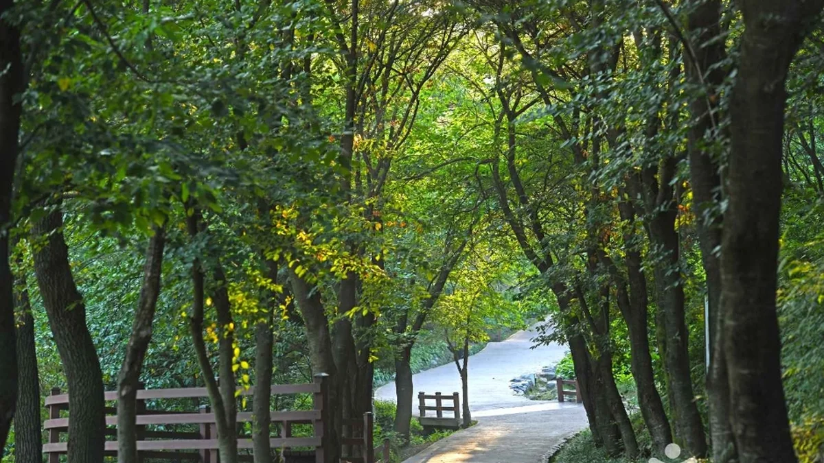 충북 미르숲 산책로, 주말 힐링 가볼만한곳